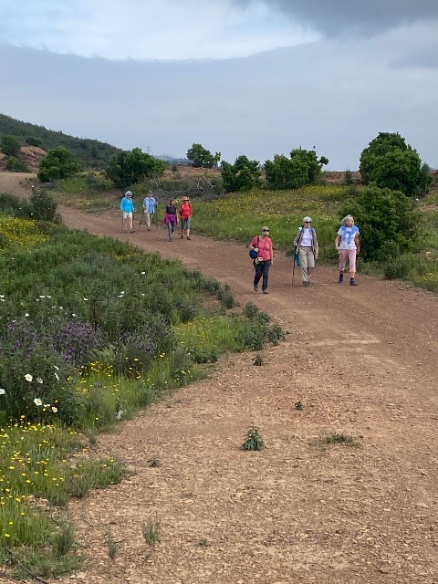 Great scenery and lovely wild flowers