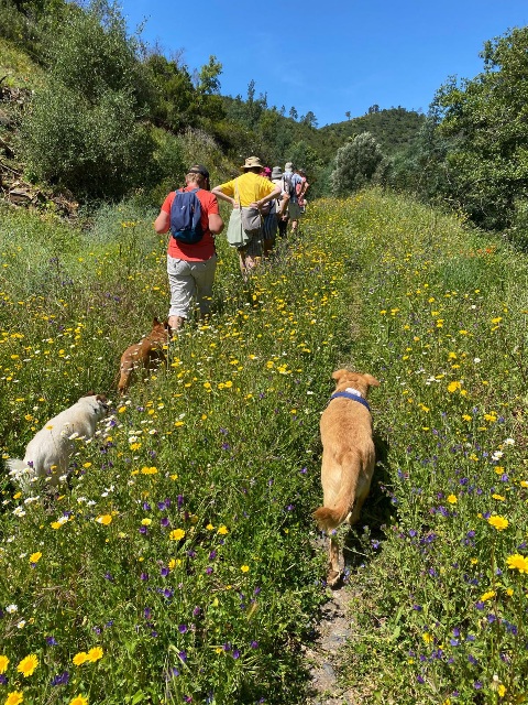 A lot of the paths were overgrown with wild flowers but no complaints there.