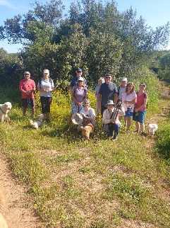 12 walkers and 5 dogs enjoyed the 3 hour walk amongst all the rivers and flowers.