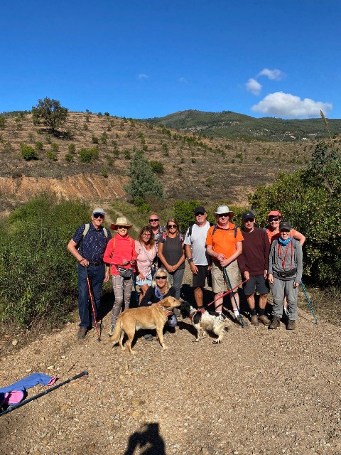 12 walkers and 2 dogs