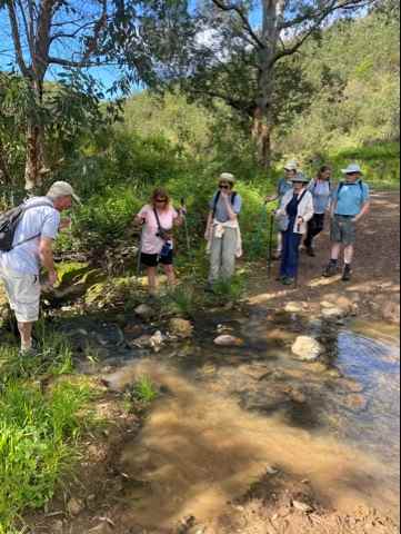 river crossings.jpg