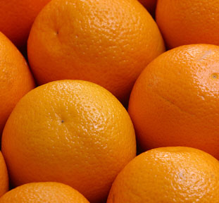 CVO Orange 03.jpg