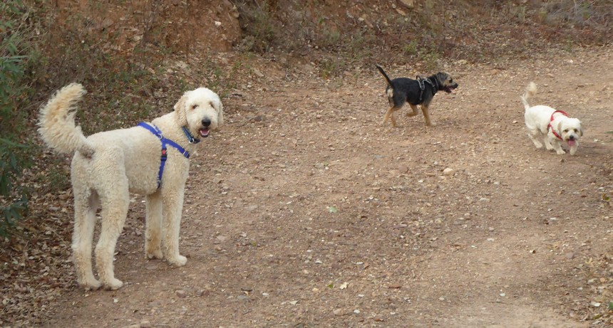Image00003.jpg