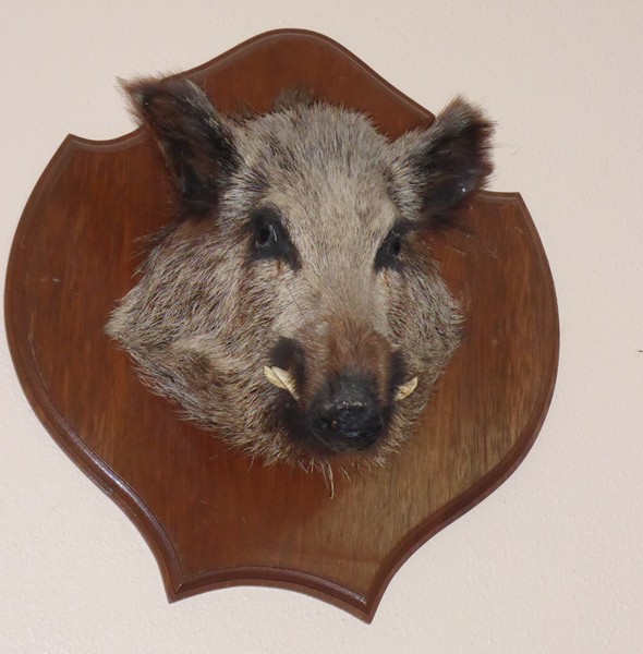 Image00008.jpg