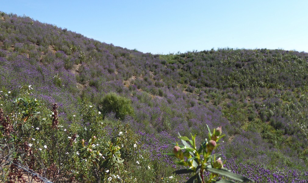Image00003.jpg
