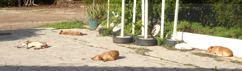 Image00008.jpg