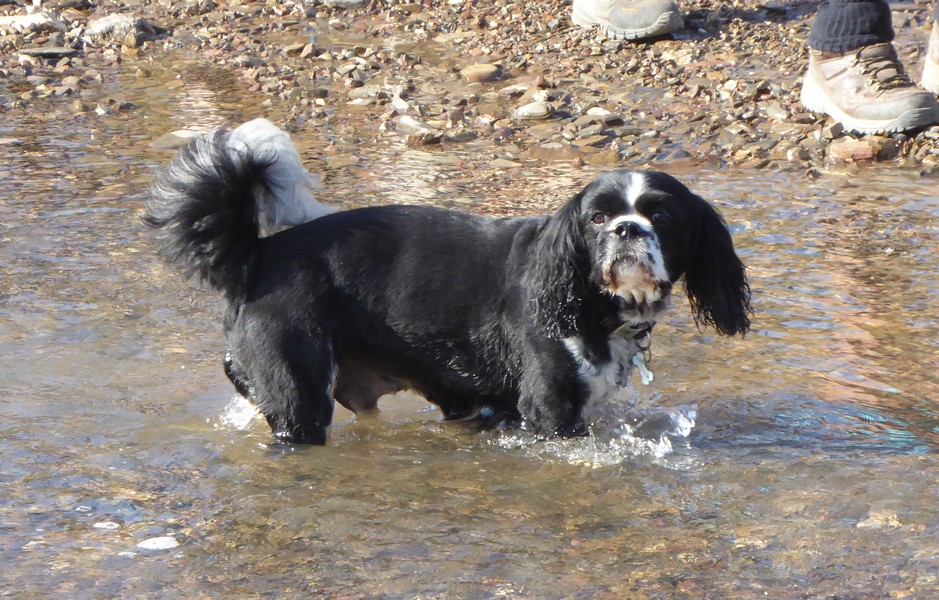 Image00010.jpg