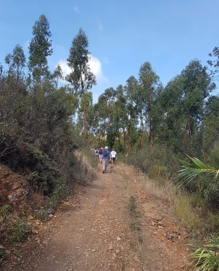Strolling along.jpg