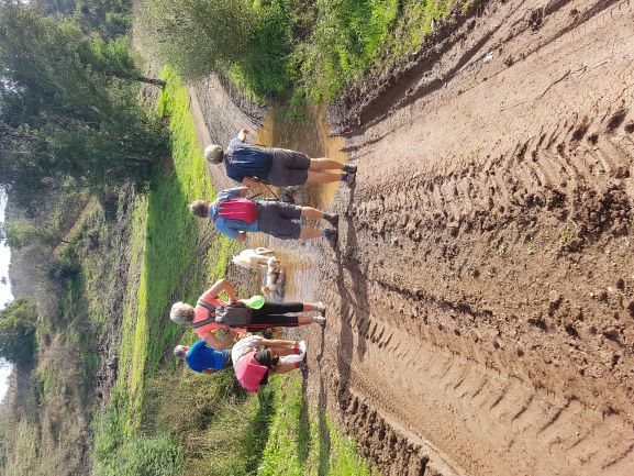 We had lots of water crossings today and the dogs loved it.