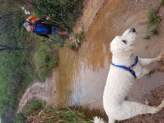 We found a way around the water crossing, no wet feet.