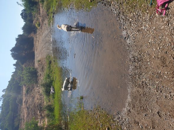 Lots of water to cool off in today.