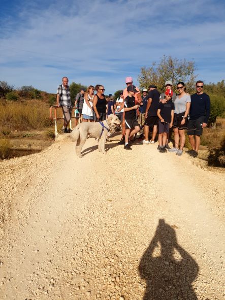 Another walk that has been destroyed by new development.  We had to scramble across a dug out field as all the paths and trees had been destroyed.  The rest of the walk was very enjoyable.
