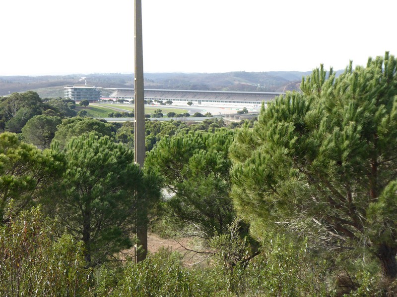 P1070310.jpg