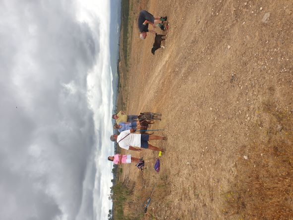 We enjoyed the 360 degree view from the top of the ridge. 4 of us and the 3 dogs enjoyed an al fresco lunch at the cafe after.