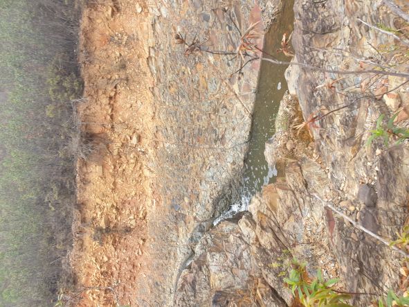 Even a stream and small waterfall today.