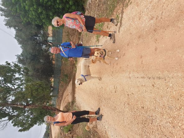 4 walkers and 3 dogs.jpg