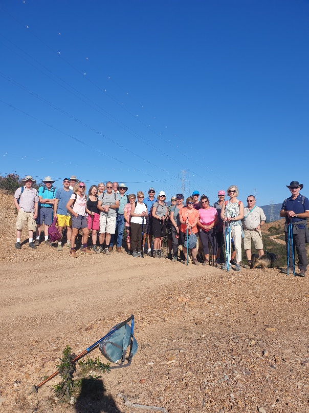 A large group today, 26 walkers and 7 dogs.