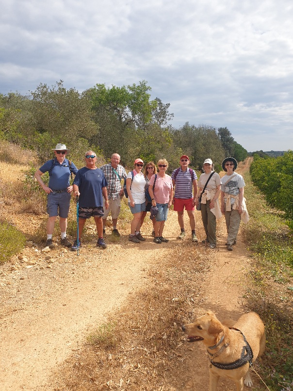 10 walkers and 1 x dog.jpg