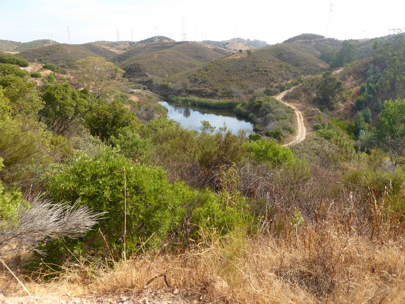 P1110474.jpg