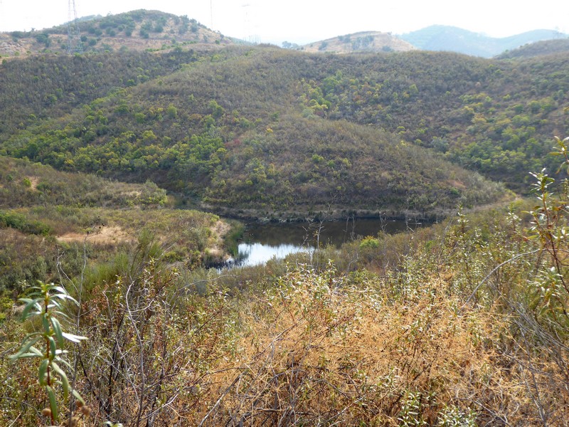 P1110477.jpg