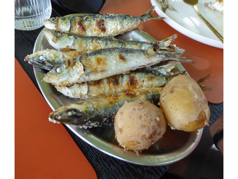 P1110480.jpg