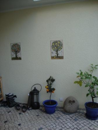 Bild2.JPG
